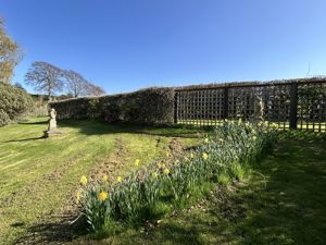 Photo 36- click for photo gallery